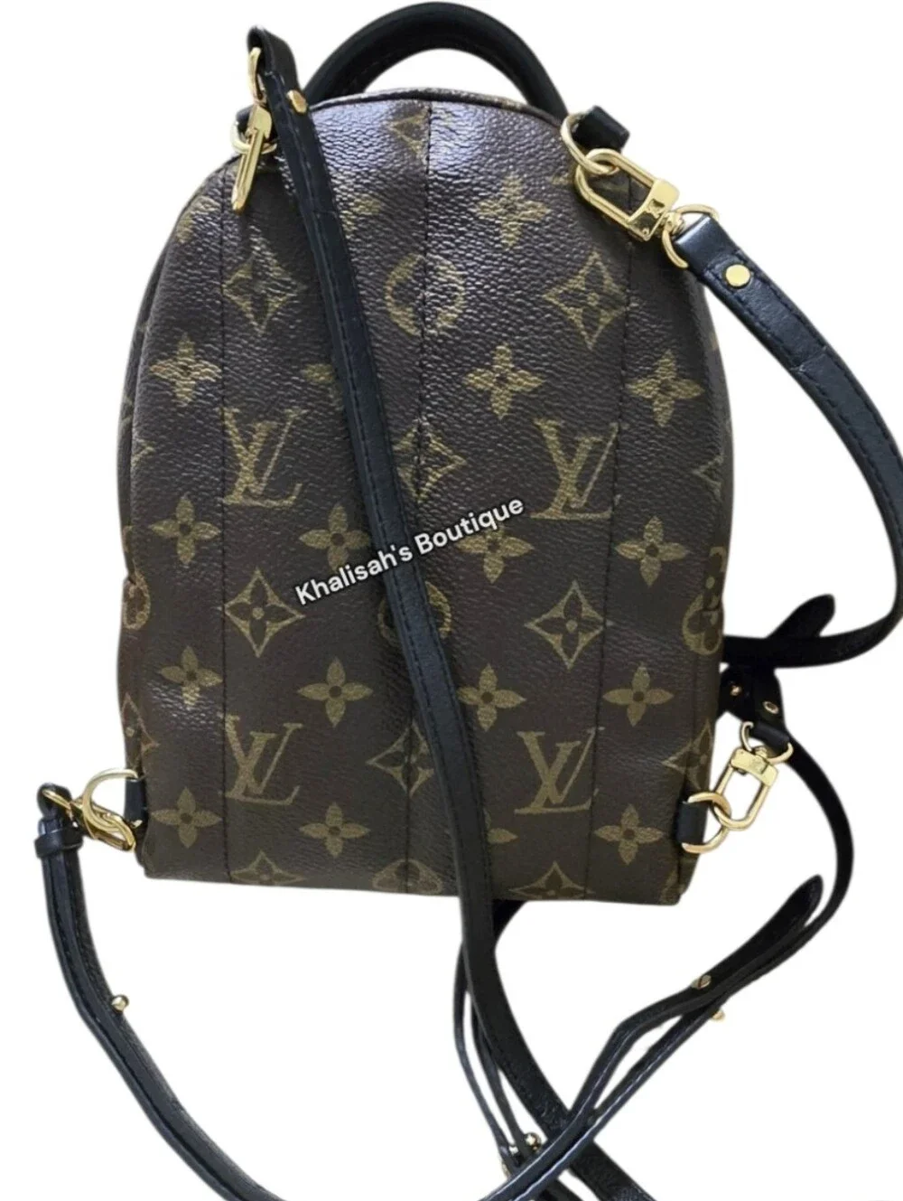 Authenticated Louis Vuitton PALM MONOGRAM SPRINGS MINI Backpack Bumbag Crossbody